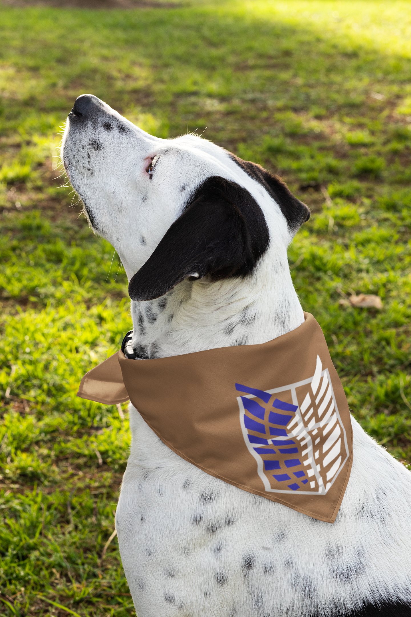 Dog and cat bandanas deals